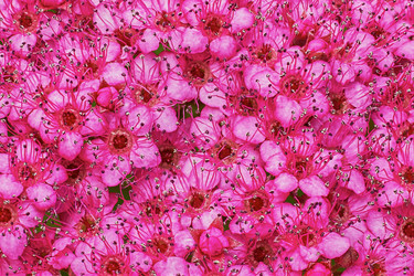 Similar image 7906183