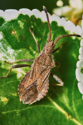 Similar image 7906192