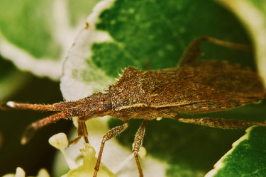 Similar image 7906209