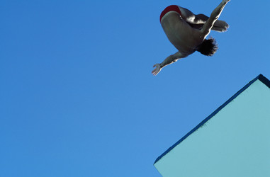 Similar image 7906215