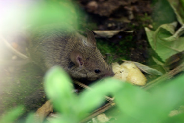 Similar image 7906224