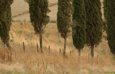 Similar image 7906229