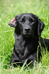 Similar image 7906232