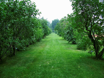 Similar image 7906234