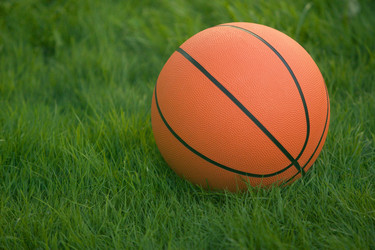 Similar image 7906235