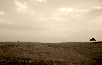 Similar image 7906244