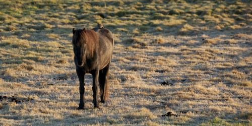 Similar image 7906249