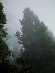 Similar image 7906261