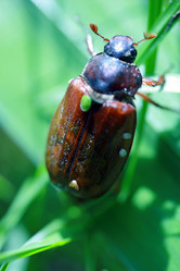 Similar image 7906266