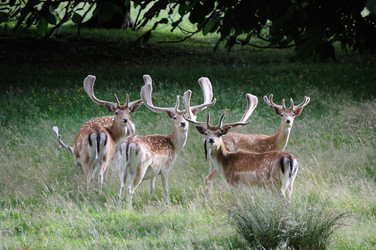 Similar image 7906267