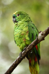 Similar image 7906275