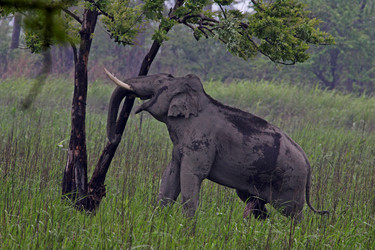 Similar image 7906292