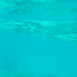 Similar image 7906305