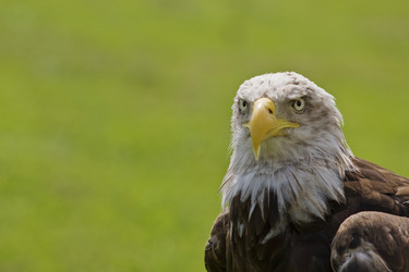 Similar image 7906306