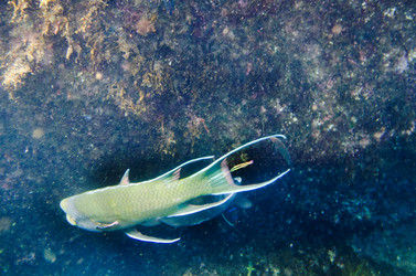 Similar image 7906310