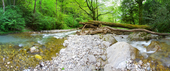 Similar image 7906324