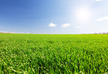 Similar image 7906332