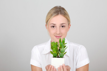 Similar image 7906367