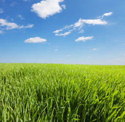 Similar image 7906387