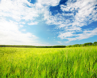 Similar image 7906401