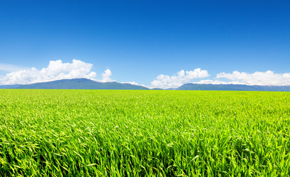 Similar image 7906433