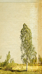 Similar image 7906458