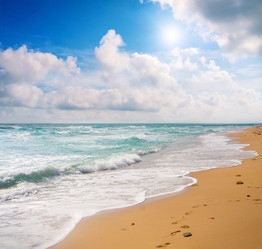 Similar image 7906482