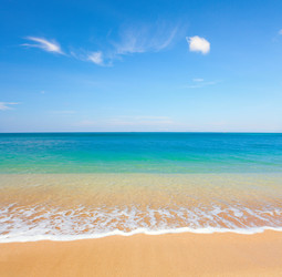 Similar image 7906501