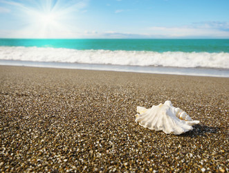 Similar image 7906505