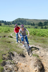 Similar image 7906521