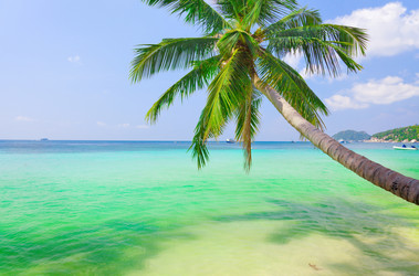 Similar image 7906542