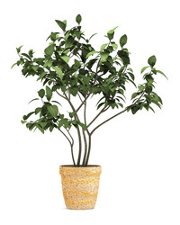 Similar image 7906575