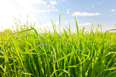 Similar image 7906586