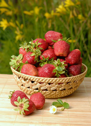 Similar image 7906669