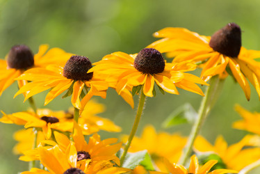 Similar image 7906776