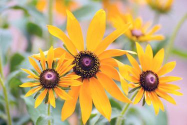 Similar image 7906779