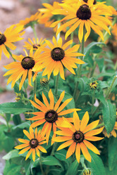 Similar image 7906782