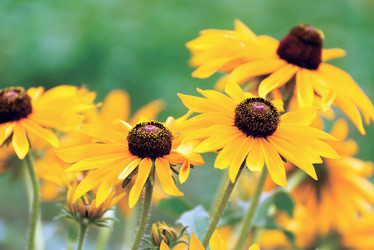 Similar image 7906783