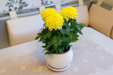 Similar image 7906823