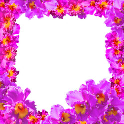 Similar image 7906929