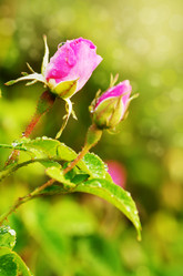 Similar image 7907243