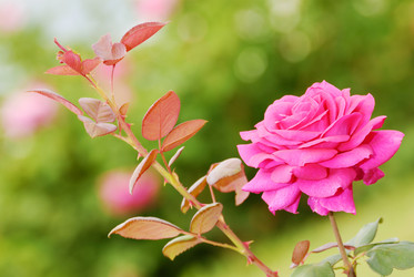 Similar image 7907249