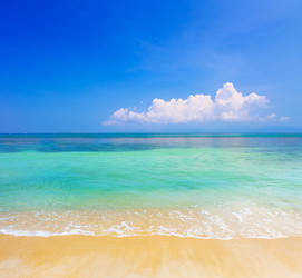 Similar image 7907318