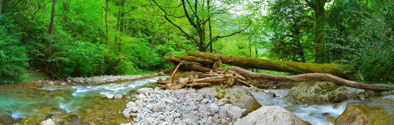 Similar image 7907390