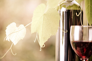 Similar image 7907825