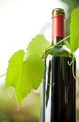 Similar image 7907846