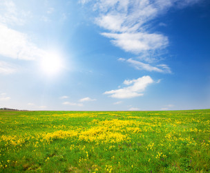 Similar image 7907852