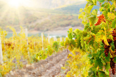 Similar image 7907903