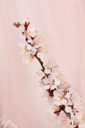 Similar image 7907940