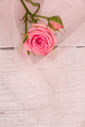 Similar image 7907946